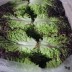 [경매선별농산물] 꽃상추(포찹) 1KG(특)