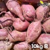 [해남별] 해남 꿀고구마 10kg 중