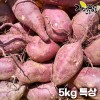 [해남별] 해남 꿀고구마 5kg 특상