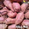 [해남별] 해남 꿀고구마 10kg 특상