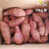 [해남별] 해남 호박고구마 10kg 중