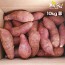 [해남별] 해남 호박고구마 10kg 중