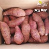 [해남별] 해남 호박고구마 3kg 특상