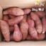 [해남별] 해남 호박고구마 3kg 특상