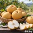 신고배 정품(중과) 2kg(3~6과)