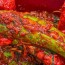 [맛있는집밥] 양념가득 통오이소박이 3kg