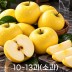 [미소품은] 안동 시나노골드 사과 2kg/10~13과(소과)