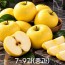 [미소품은] 안동 시나노골드 사과 2kg/7~9과(중과)