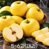 [미소품은] 안동 시나노골드 사과 2kg/5~6과(대과)