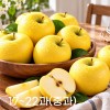 [미소품은] 안동 시나노골드 사과 5kg/17~22과(중과)